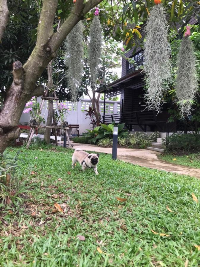 Baansuanklaiklungbangkrachao บ้านสวนใกล้กรุงบางกะเจ้า Phra Pradaeng Εξωτερικό φωτογραφία